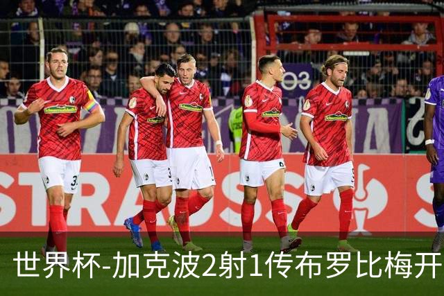 世界杯-加克波2射1传布罗比梅开二度 荷兰5-1大胜瑞典