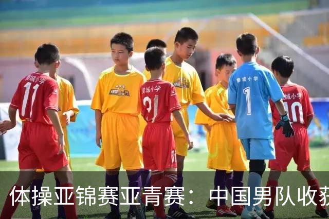 体操亚锦赛亚青赛：中国男队收获6枚金牌